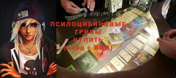 спайс Елизово