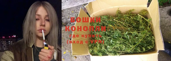 спайс Елизово