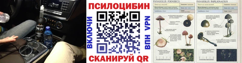 Галлюциногенные грибы мухоморы  цена наркотик  Мыски 